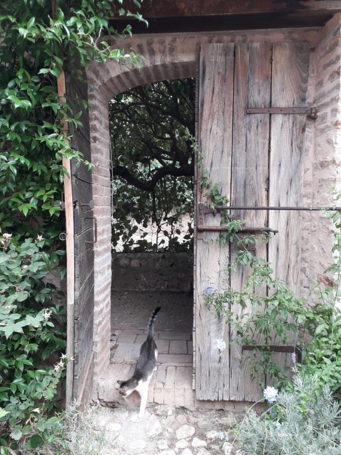La Palombaia Guest House Spoleto Luaran gambar
