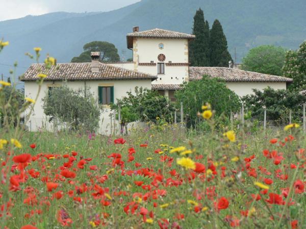 La Palombaia Guest House Spoleto Luaran gambar