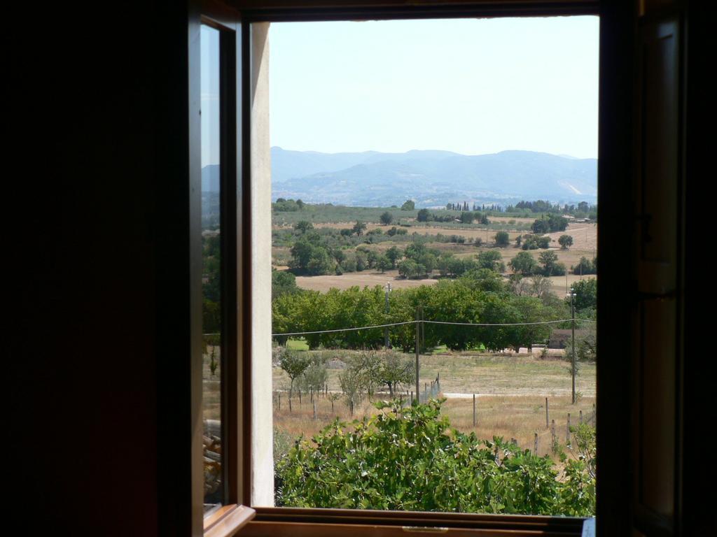 La Palombaia Guest House Spoleto Luaran gambar
